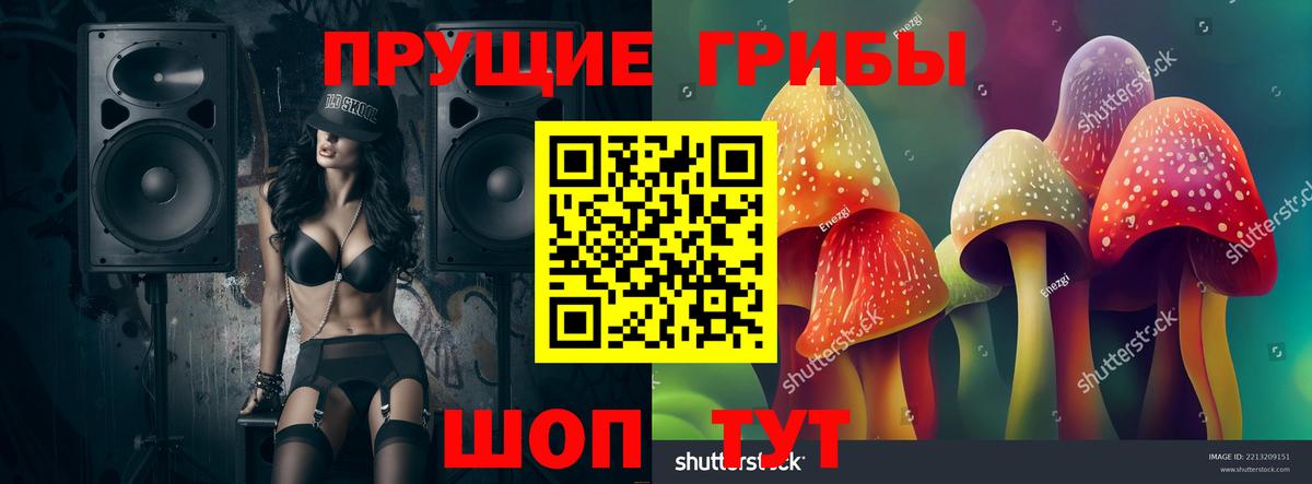 Чита  Галлюциногенные грибы MAGIC MUSHROOMS  купить закладку  Вход с VPN  Псилоцибиновые грибы ЛСД 